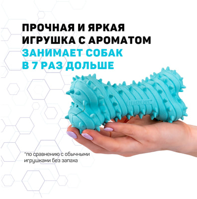 Playology       PUPPY TEETHING BONE    (,  2)