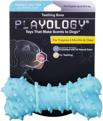 Playology       PUPPY TEETHING BONE    (,  4)
