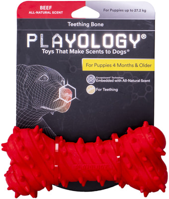 Playology       PUPPY TEETHING BONE    (,  4)
