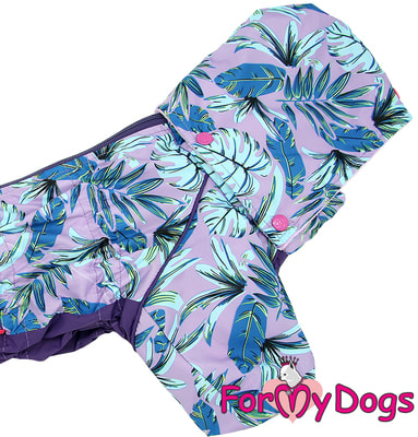 ForMyDogs       (,  1)