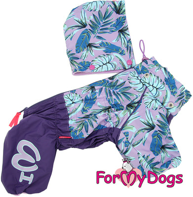 ForMyDogs       (,  3)