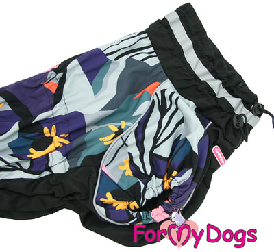 ForMyDogs    -   (,  4)