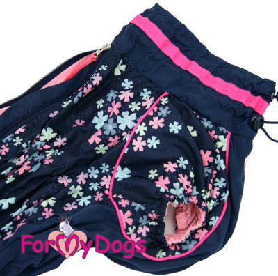 ForMyDogs        (,  1)
