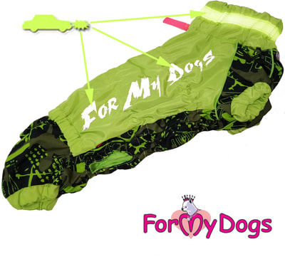 ForMyDogs        (,  1)