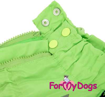 ForMyDogs        (,  6)