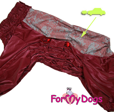 ForMyDogs        (,  1)