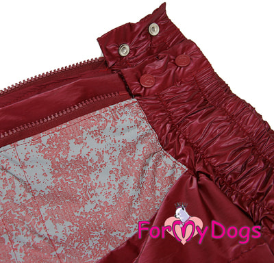 ForMyDogs        (,  3)