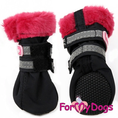 ForMyDogs C   -    (,  1)
