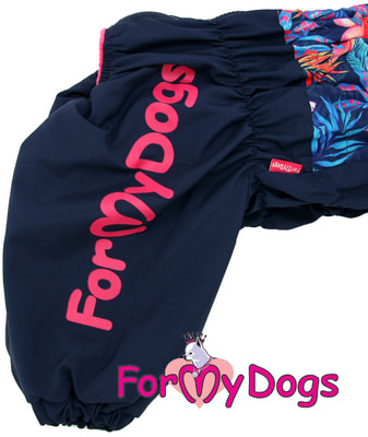 ForMyDogs       -   (,  3)