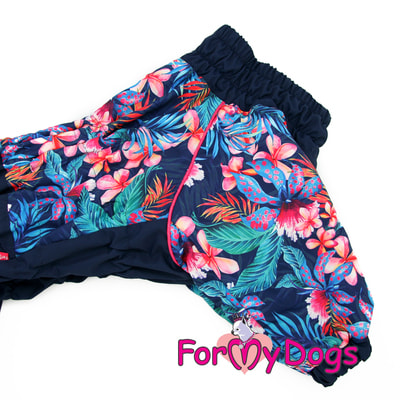 ForMyDogs       -   (,  4)