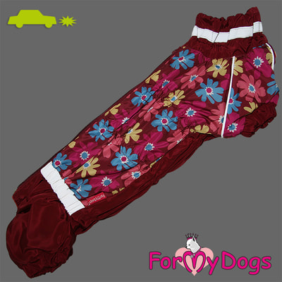 ForMyDogs        (,  1)
