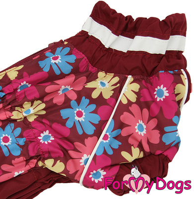 ForMyDogs        (,  3)