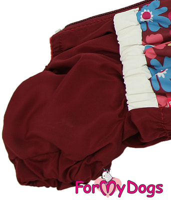 ForMyDogs        (,  4)