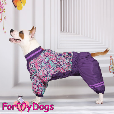 ForMyDogs         (,  4)