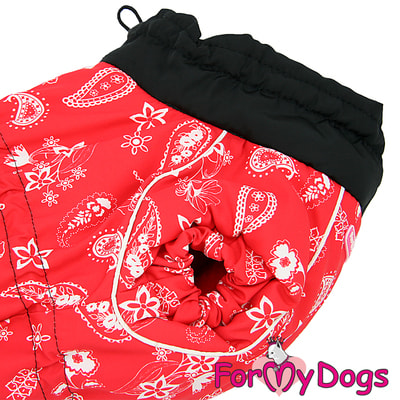 ForMyDogs    -  , + (,  2)
