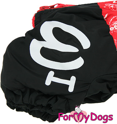 ForMyDogs    -  , + (,  5)