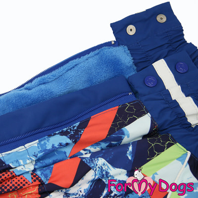 ForMyDogs ������ ���������� ��� ������� ����� ����������� ����� ��� ��������� (����, ��� 2)