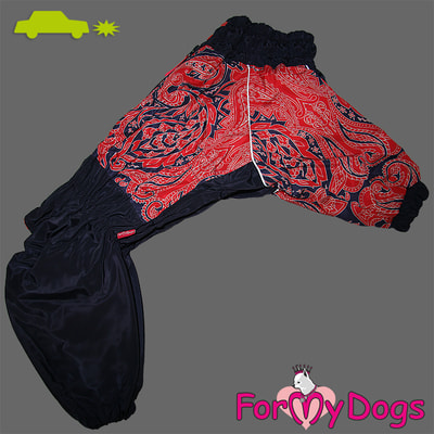 ForMyDogs      -  ,  (,  1)
