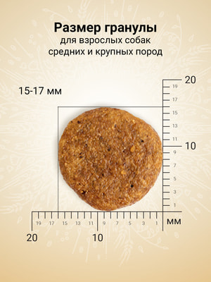   Craftia NATURA            (,  7)
