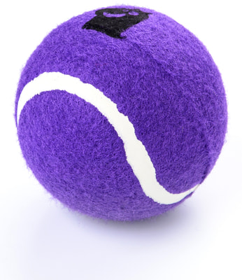 Mr.Kranch       10 (,  3)
