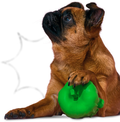 Mr.Kranch ������� ��� ����� ������ � �������� ������� � �������� ������ (����, ��� 5)