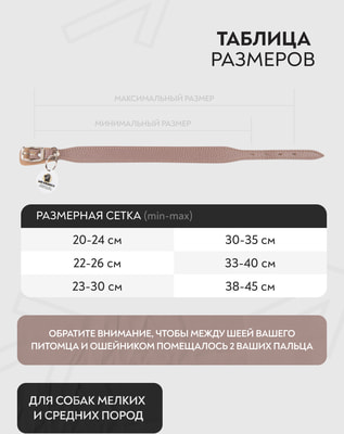 Mr.Kranch Ошейник для собак из натуральной кожи с QR-адресником, бежевый (фото, вид 4)