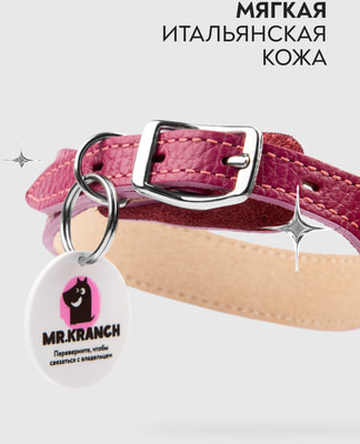 Mr.Kranch        QR-,  (,  1)