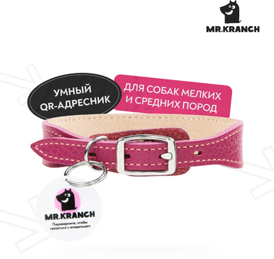 Mr.Kranch        QR-,  (,  6)