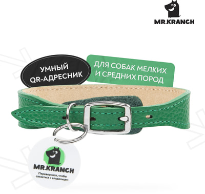 Mr.Kranch        QR-,  (,  6)