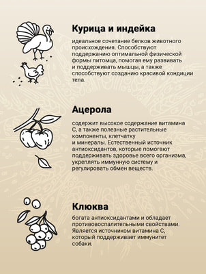   Craftia NATURA           (,  9)