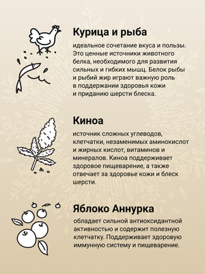   Craftia HARMONA       (,  10)