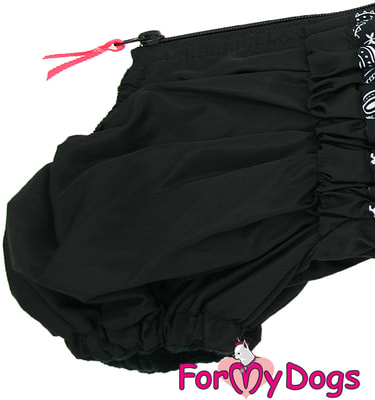 ForMyDogs        (,  5)