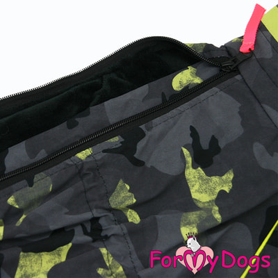 ForMyDogs     /  ,  (,  3)