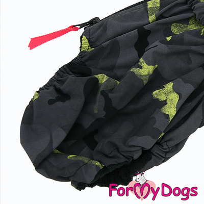 ForMyDogs     /  ,  (,  5)