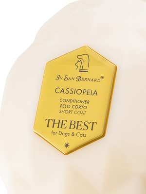 Iv San Bernard The Best line Cassiopeia        (,  2)