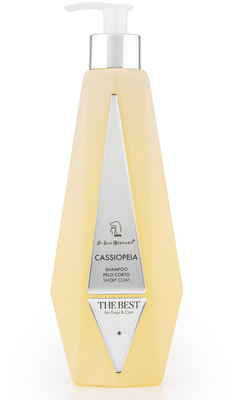 Iv San Bernard The Best line Cassiopeia        (,  1)