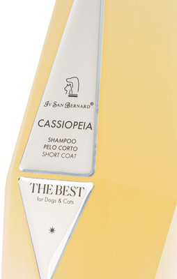 Iv San Bernard The Best line Cassiopeia        (,  2)
