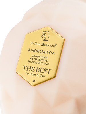 Iv San Bernard The Best line Andromeda           (,  3)