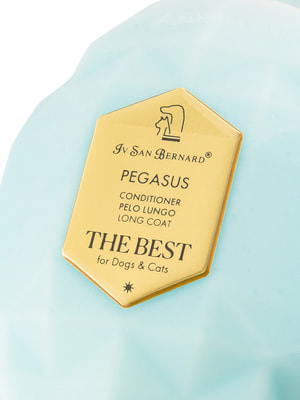 Iv San Bernard The Best line Pegasus        (,  2)
