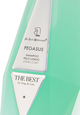 Iv San Bernard The Best line Pegasus        (,  2)