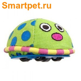 Petstages         (,  1)