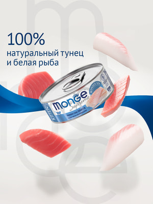  Monge   Supreme kitten      ,  (,  1)