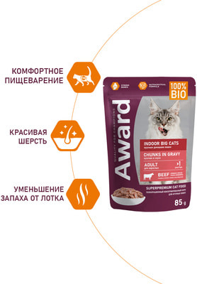 Award ������� ���� Indoor big cats ��� �������� �������� ����� ������� ����� ������� � ����� � ��������� (����, ��� 1)