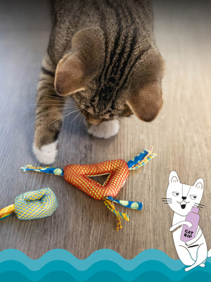 CATSTAGES  Dental   - c   (,  1)