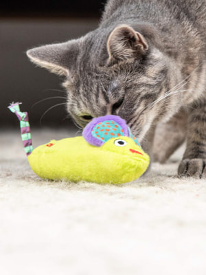 CATSTAGES      c   (,  1)
