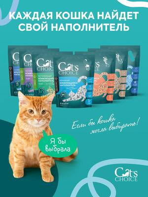  Cat's choice        (,  5)