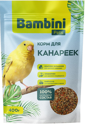 Bambini Pets    (,  4)