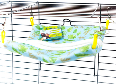 Bambini Pets            (,  1)