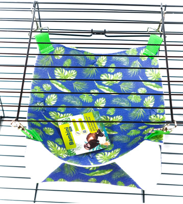Bambini Pets          (,  2)