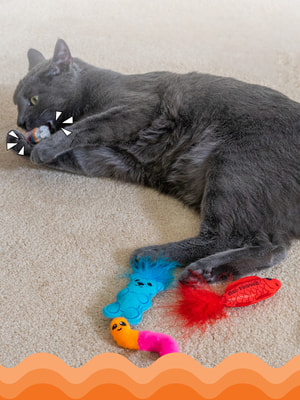 Petstages ������� Catstages Dental ��� ����� ��������� � �������� �����, 6 �� � ��������� (����, ��� 1)